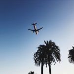 plane fly airplane island palms