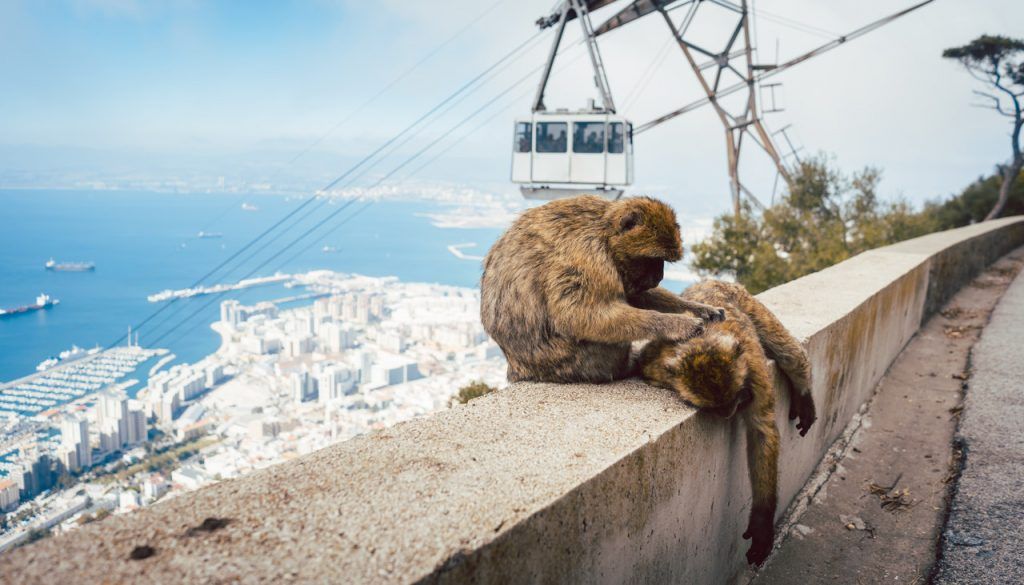 derrocamiento Son estético Gibraltar Cable Car Experience - MrShuttle