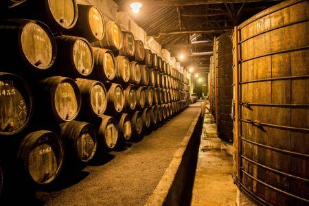 Old barrels in a winery, Porto, Portugal