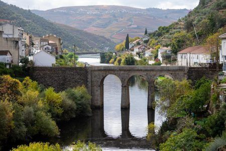 Panoramic view on Douro river valley and colorful hilly stair step terraced vineyards in autumn, wine and port making industry in Portugal