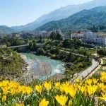 Photo of the city of Permet in Albania, also know as the city of flowers. on the picture you can see yellow flowers on the bottom, Vjosa river and the city