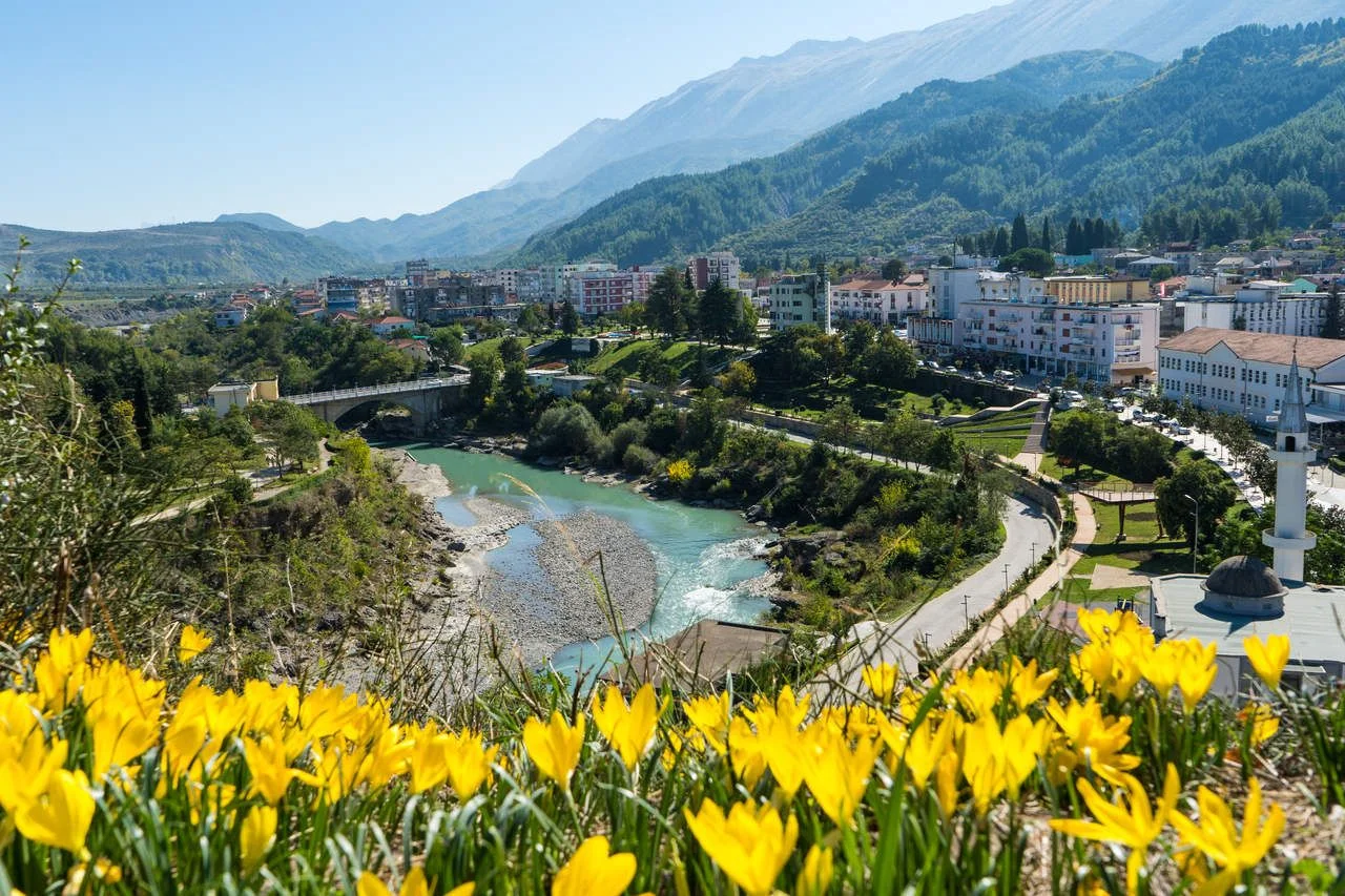 Photo of the city of Permet in Albania, also know as the city of flowers. on the picture you can see yellow flowers on the bottom, Vjosa river and the city