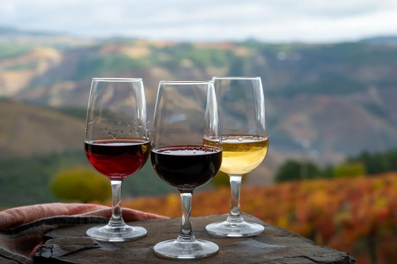 Tasting of Portuguese fortified dessert and dry port wine, produced in Douro Valley with colorful terraced vineyards on background in autumn, Portugal