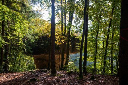 The parasol rock near Krottensee in Franconian Switzerland