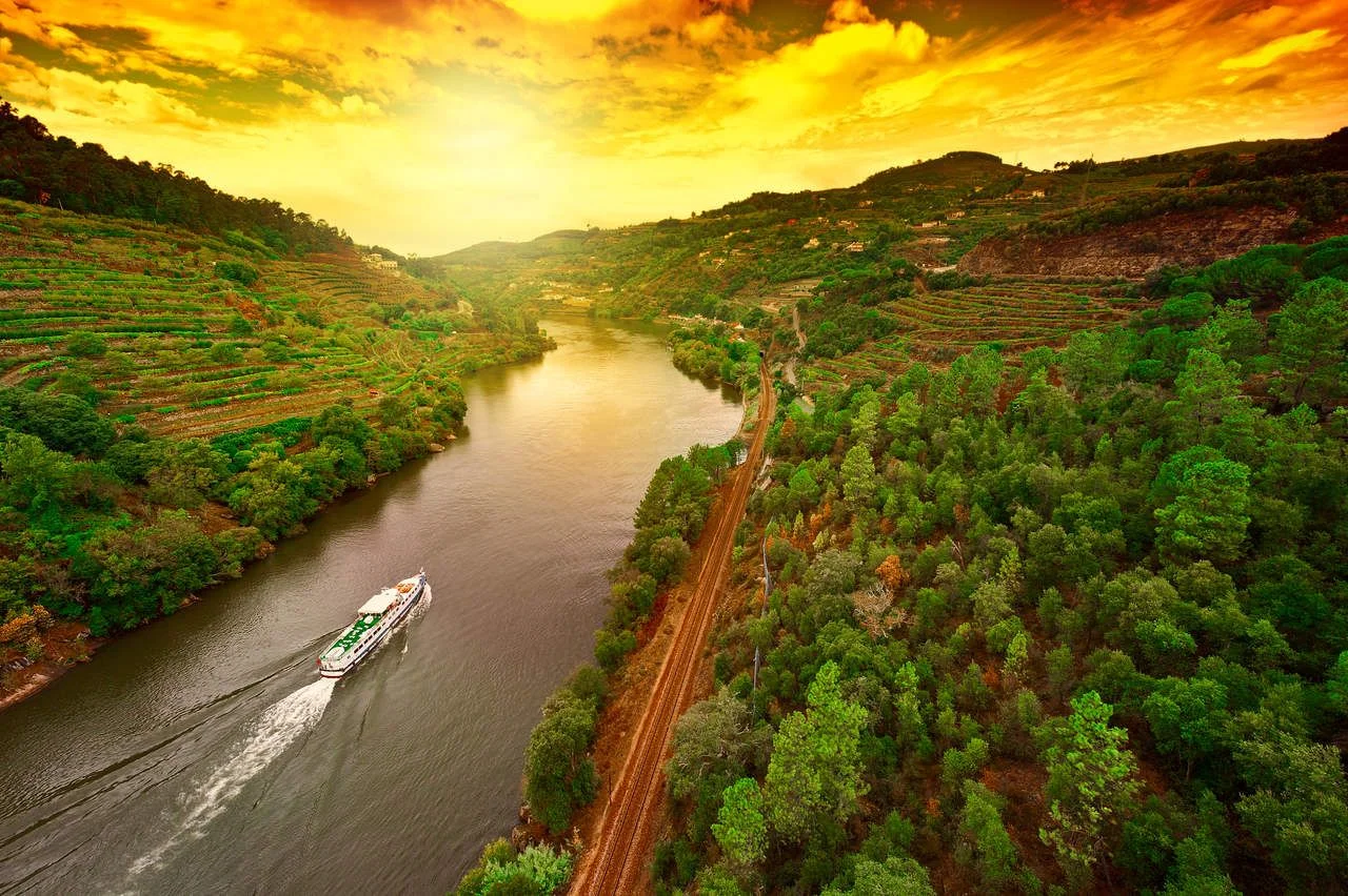 Vineyards in the Douro river valley, Portugal