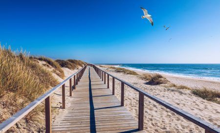 Wooden path at Costa Nova d’Aveiro, Portugal, over sand dunes with ocean view and seagulls flying over Praia da Barra. Wooden footbridge of Costa Nova beach in a sunny day. Aveiro, Portugal.