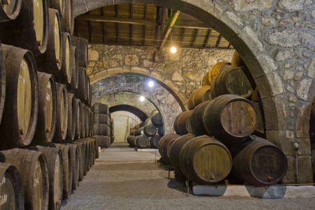 cellar with wine barrels