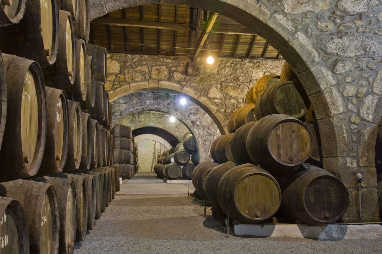 cellar with wine barrels