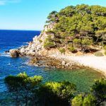 Pictures of nature closer the city of Bandol (France)