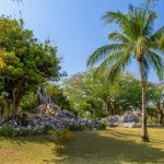 Playacar Mayan ruins in the forest park in Playa del Carmen, Yucatan, Mexico. (2)