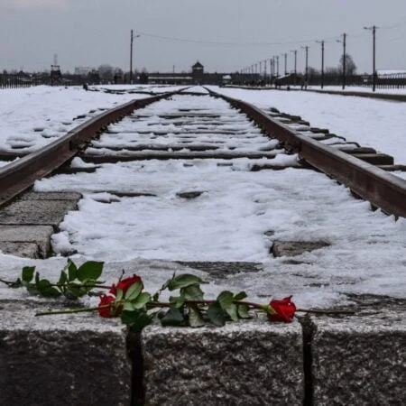 Auschwitz Birkenau with a red rose