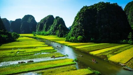 NinhBinh, river through rice fileds, Hanoi, Vietnam