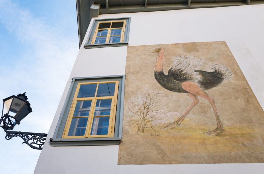 Bird mural
