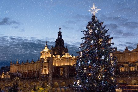 christmas-tree-in-krakow-market