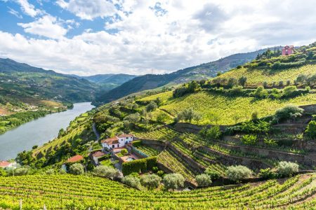 Douro Valley wineries, Portugal