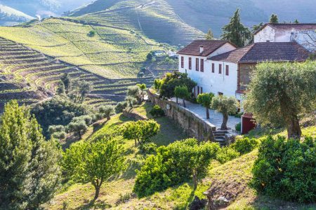 Winery in Douro Valley, Portugal