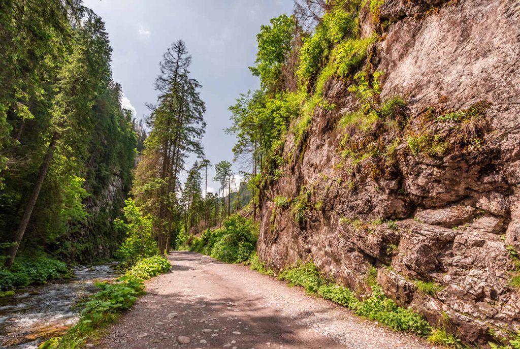 Hiking in Zakopane - Kościeliska Valley